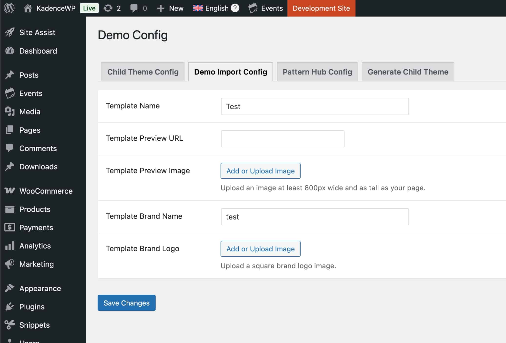 Demo Import Config