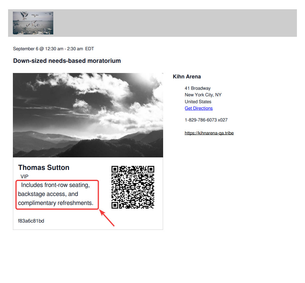 Ticket Description in PDF Ticket / Pass