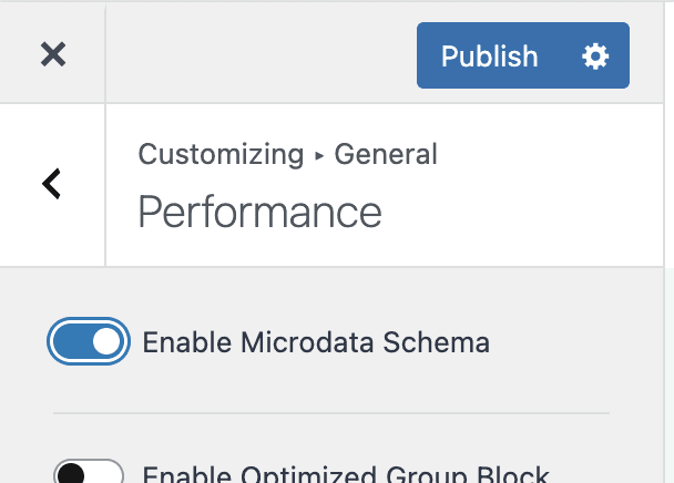 Customizer Microdata setting