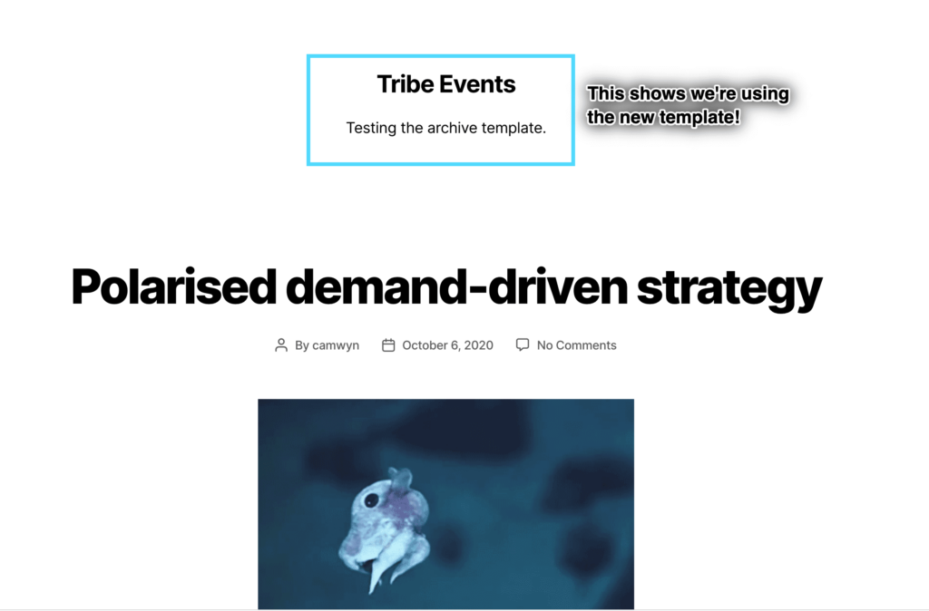 The events archive displayed with a custom archive-tribe_events.php theme template