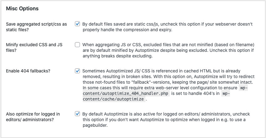 Misc options box provided by Autoptimize plugin.There's a few checkboxes where we recommend uncheck "Minify excluded CSS and JS files" option.