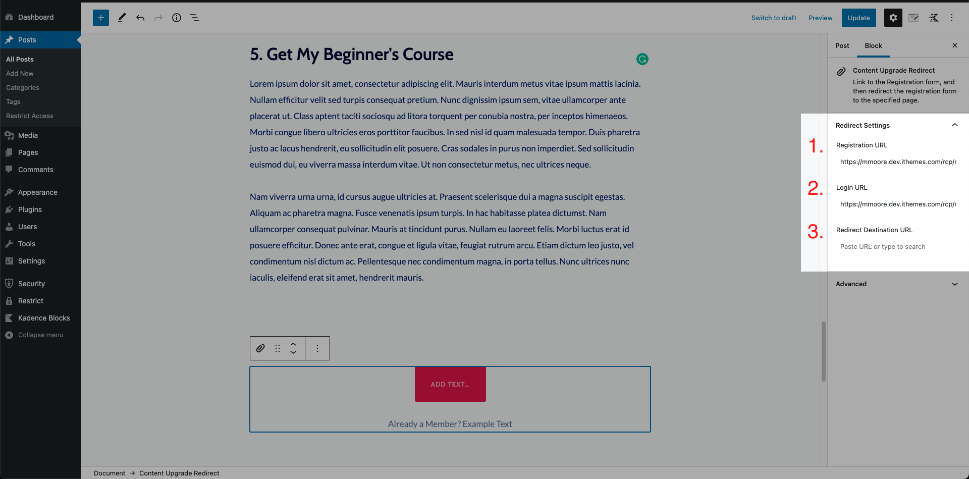content-upgrade-redirect-block-settings.png