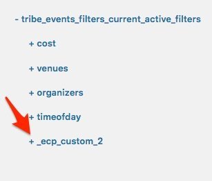 Click on the + sign to expand each of your custom active filters twisties