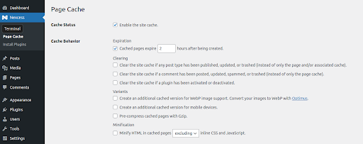 Page Cache