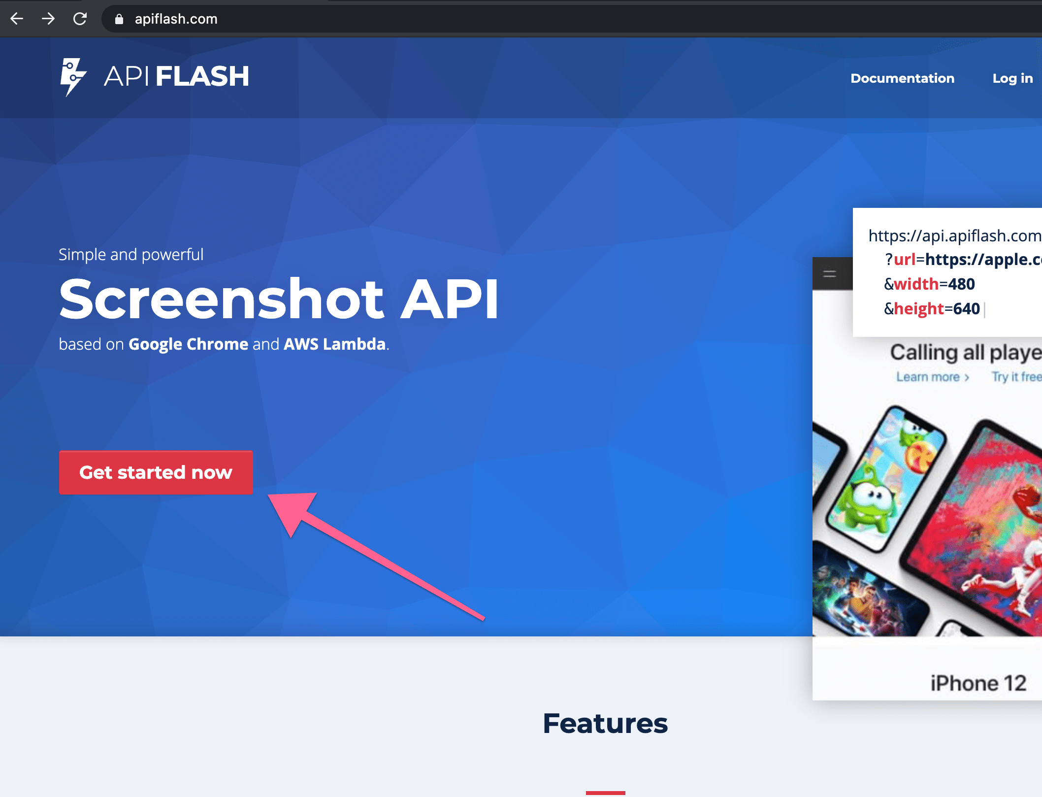 API Flash screenshot