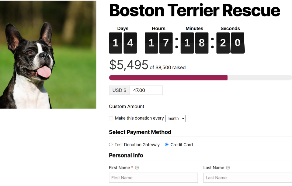 Form Countdown Timer Display