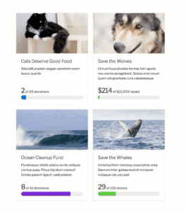 Give Donation Form Grid