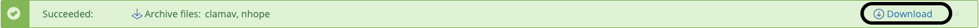 download button highlighted