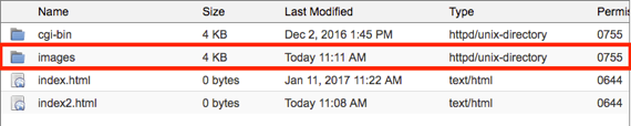 New folder highlighted in public_html list