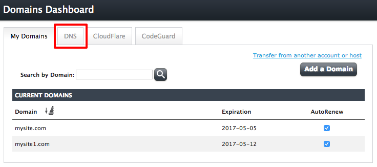 DNS tab