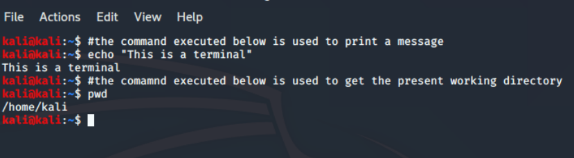 What is Kali Linux?The command line interface can be tested by simply typing a command, and you will get the required output. The terminal will run the commands through the shell and deliver the result. Enter the following text into the terminal.
