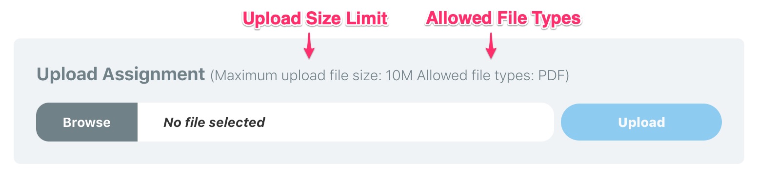 LearnDash assignments, upload size & file types messages to users