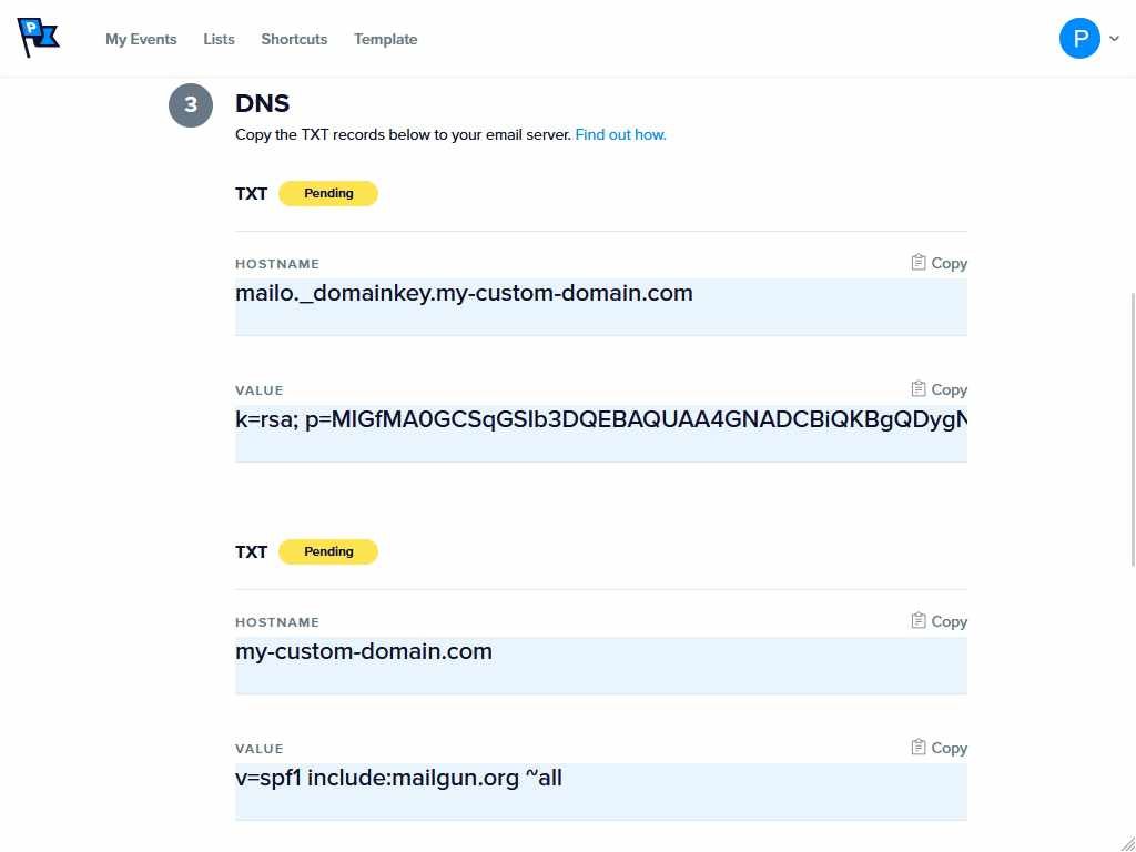 The Step 3 TXT record fields in Mail Delivery Settings before verification