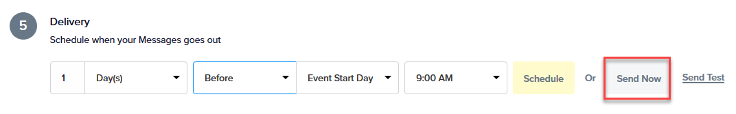 The Send Now button in Promoter