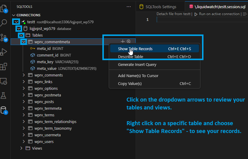 How to connect to MySQL using SQLTools in VSCode — once you are connected to your database, click on the dropdown arrows next to the name of the connection. Then, click the name of the database to access its tables and views. You can right click on a specific table and choose Show Table Records to view the data.