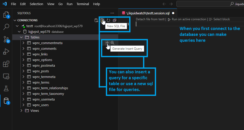 How to connect to MySQL using SQLTools in VSCode — you can also create queries when you first connect to the database as a blank session.sql file is automatically created for you. As well, you can click on the New SQL File button to create a new .sql file for query statements or you can insert a query into a specific table by clicking on the “+” (plus) icon next to the specific table.
