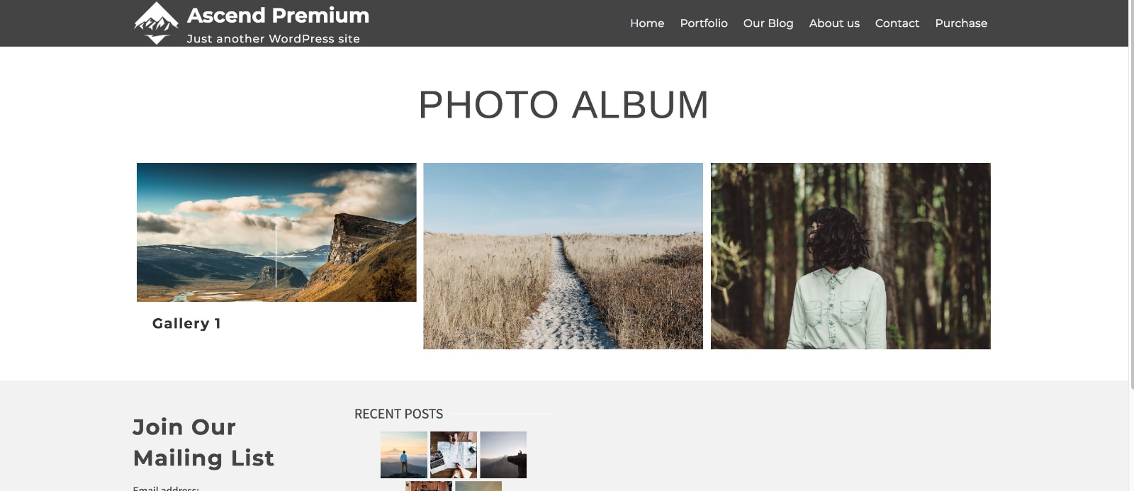 gallery-album-on-page-kadence-themes-galleries