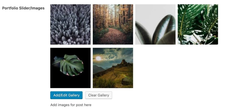 Portfolio Slider Images